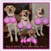 Mary Ann Menten's picture